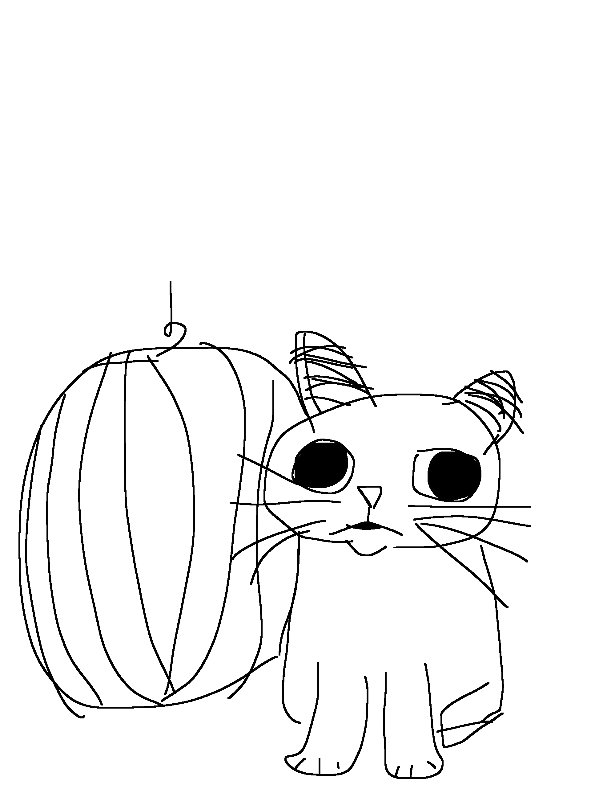 xed into snafumelon cat